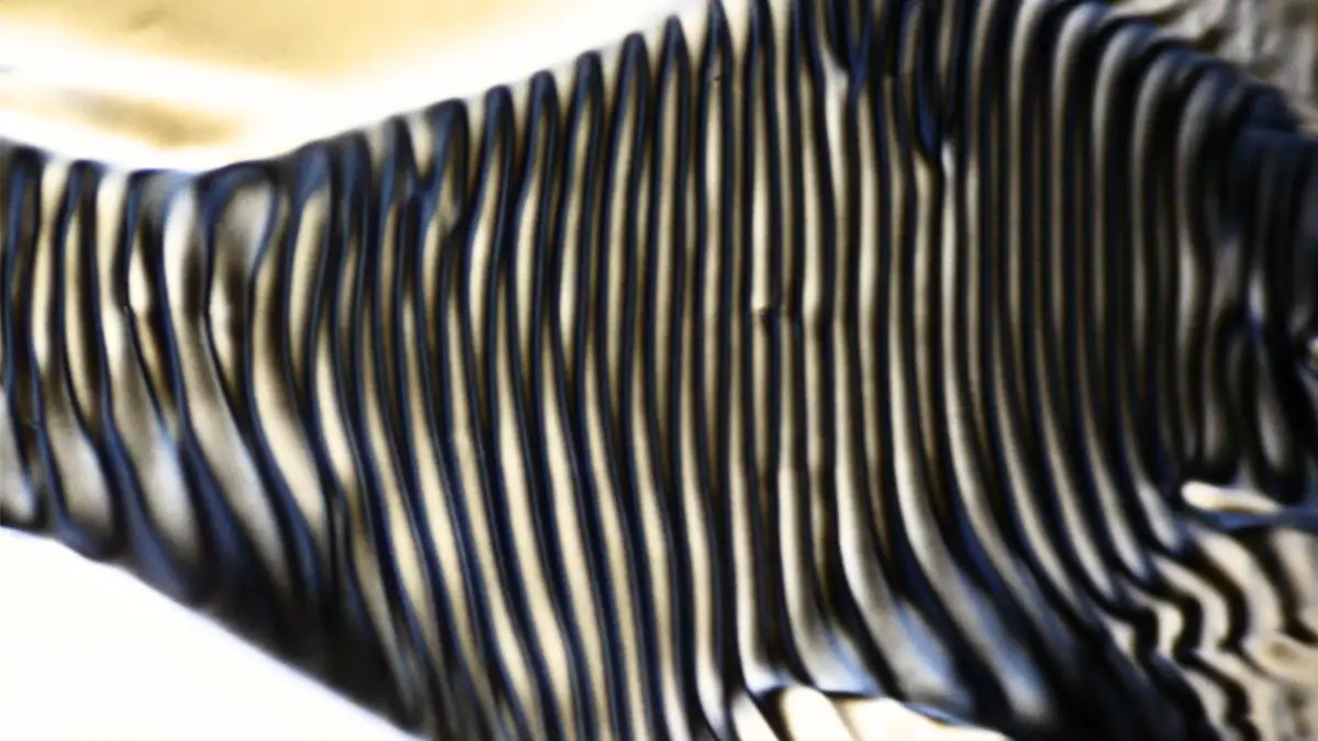 Des structures chirales inattendues dans les cristaux liquides non chiraux