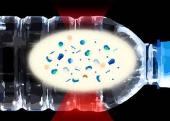 Nanoplastiques : l'ennemi invisible dans votre bouteille d'eau