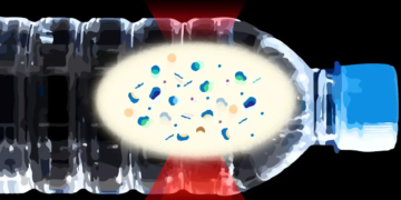 Nanoplastiques : l'ennemi invisible dans votre bouteille d'eau