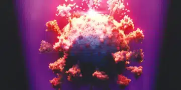L'éradication du coronavirus par la lumière : une étude éclaire le sujet