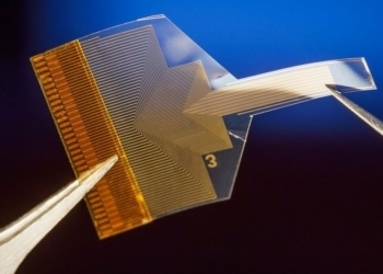Un implant cérébral transparent peut lire l'activité neuronale profonde à partir de la surface