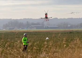 Protection des oiseaux : TenneT expérimente l'installation de balises par drone