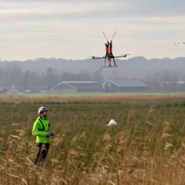 Protection des oiseaux : TenneT expérimente l'installation de balises par drone