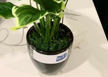 Les plantes artificielles du 21ème siècle : des générateurs d'énergie renouvelable
