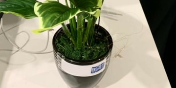 Les plantes artificielles du 21ème siècle : des générateurs d'énergie renouvelable
