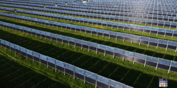 Agriculture et panneaux solaires verticaux : le mariage du siècle ?