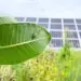 Quand les panneaux solaires deviennent des refuges pour les insectes