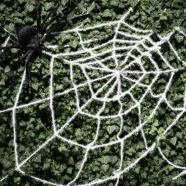 La soie d'araignée artificielle : une innovation écologique inédite