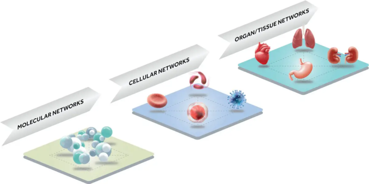 Quand l'IA décrypte le mystère du vieillissement