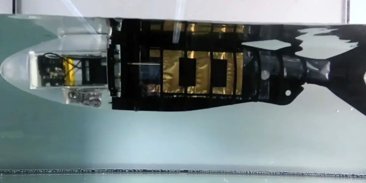 Des muscles artificiels pour les robots : la science-fiction devient réalité