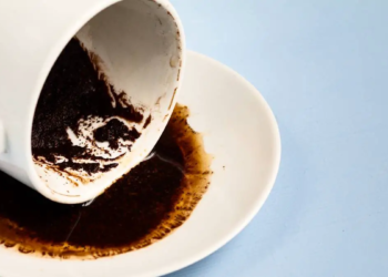Batteries au sodium : le marc de café devient un allié inattendu