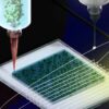 Un nouveau type de technologie d'impression de tissus en 3D associe hydrogels et fibres