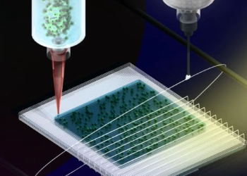 Un nouveau type de technologie d'impression de tissus en 3D associe hydrogels et fibres