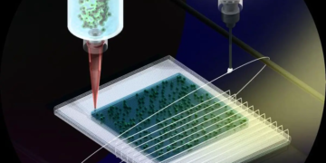 Un nouveau type de technologie d'impression de tissus en 3D associe hydrogels et fibres