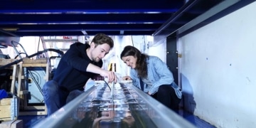 Les ultrasons peuvent sauver les poissons dans les rivières hydroélectriques