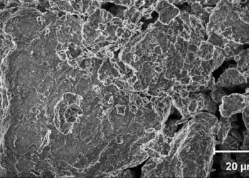 Comprendre comment le sol piège le carbone