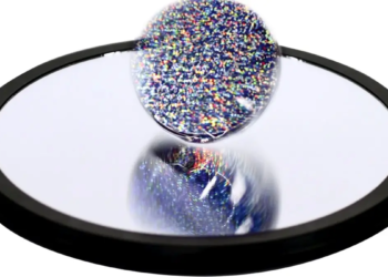 Le disque d'Euler : un tourbillon de mystères physiques