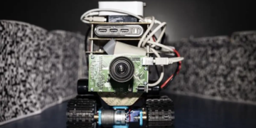 Des cerveaux d'insectes aux robots autonomes