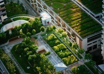 Les toits verts peuvent rafraîchir les villes et économiser de l'énergie : modélisation