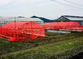Filets rouges : La nouvelle arme des cultivateurs contre les nuisibles ?