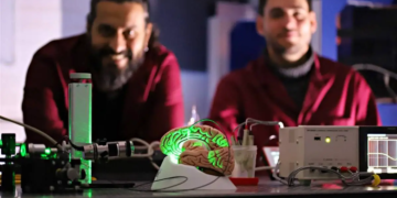 Des implants de fibres optiques pour remédier aux troubles moteurs des patients ?