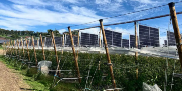 Les fruits et l'énergie solaire dans les champs