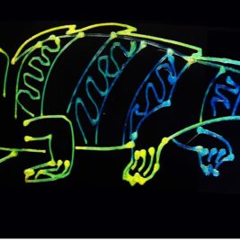 Les caméléons inspirent une nouvelle technologie d'impression 3D multicolore