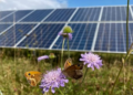 De nouvelles preuves montrent que les parcs solaires britanniques seraient utiles aux pollinisateurs