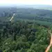 La conversion des forêts tropicales en plantations a d'autres répercussions