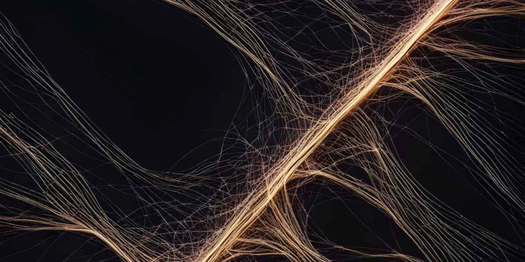 L'essor des réseaux neuronaux artificiels grâce aux micro-résonateurs en silicium