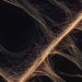 L'essor des réseaux neuronaux artificiels grâce aux micro-résonateurs en silicium