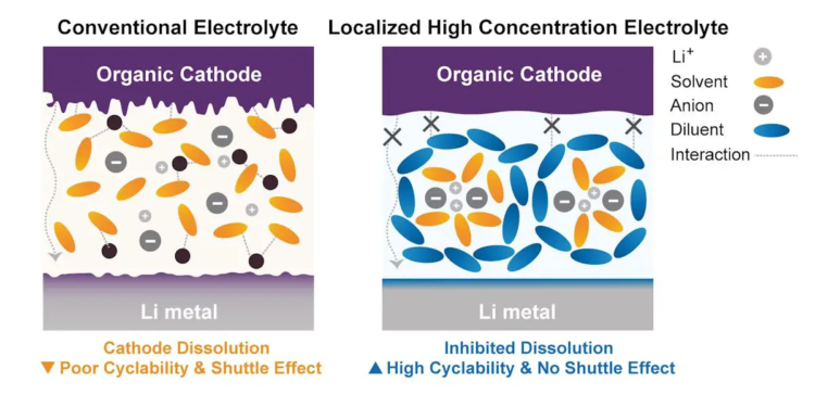 Les électrolytes non solubles améliorent les performances des batteries à base d'électrodes organiques