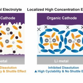 Les électrolytes non solubles améliorent les performances des batteries à base d'électrodes organiques