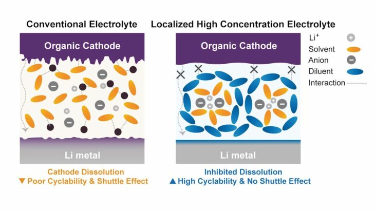 Les électrolytes non solubles améliorent les performances des batteries à base d'électrodes organiques
