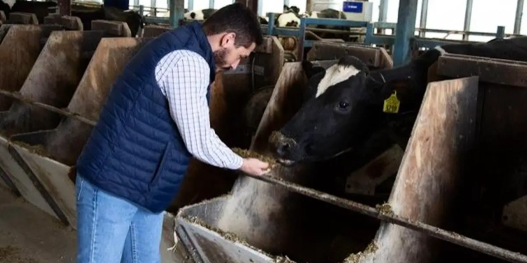 Émissions de méthane : une solution étonnante venue du monde végétal