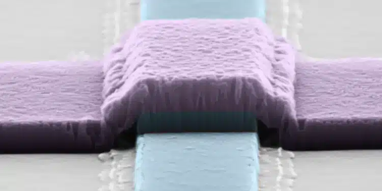 Le niobium, un matériau clé pour l'avenir des qubits supraconducteurs