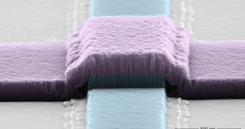 Le niobium, un matériau clé pour l'avenir des qubits supraconducteurs