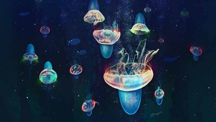 Des méduses cyborgs pour explorer les océans