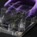 Les EcoFABs pourraient conduire à de meilleures cultures bioénergétiques