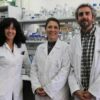 Algues et bactéries: un duo gagnant pour l'hydrogène vert et la biomasse