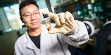 Une cathode réparable débloquerait le potentiel des batteries solides au lithium-soufre