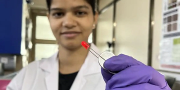 Vers l'assemblage d'une batterie lithium-métal plus sûre et plus durable