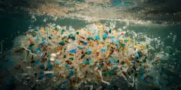 Dites bonjour aux microplastiques biodégradables