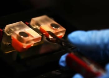 Les images 3D révèlent le lien entre la complexité des fissures et la résistance des matériaux