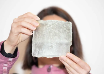 Quand les nanoparticules de plastique envahissent l'Arctique en silence