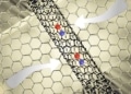 Une "antenne" en 2D stimule l'émission de lumière à partir de nanotubes de carbone