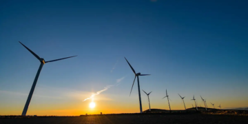 Vagues de chaleur et de froid : une opportunité pour les énergies vertes ?