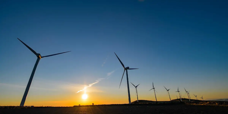 Vagues de chaleur et de froid : une opportunité pour les énergies vertes ?