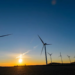 Vagues de chaleur et de froid : une opportunité pour les énergies vertes ?