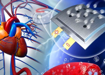 L'oxygène du corps, nouvelle source d'énergie pour les implants médicaux